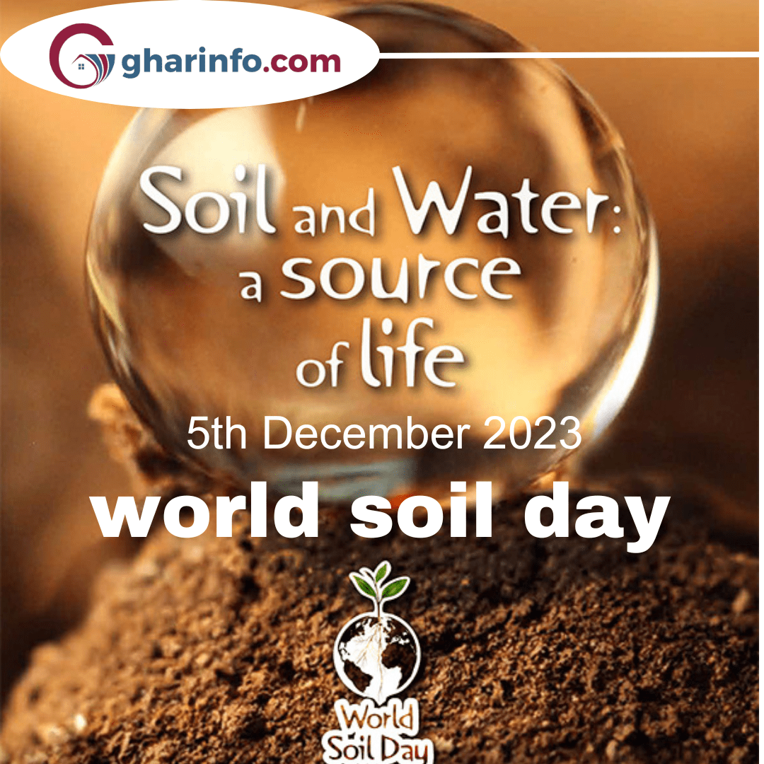 World Soil Day 